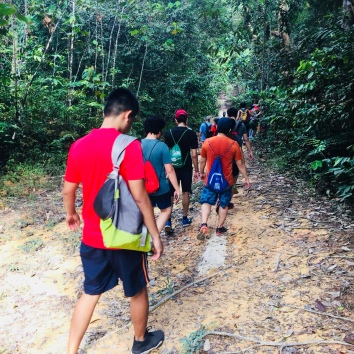Lab outing at MacRitchie Tree Top walk (2018)