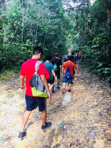 Lab outing at MacRitchie Tree Top walk (2018)